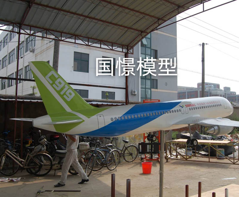 杂多县飞机模型